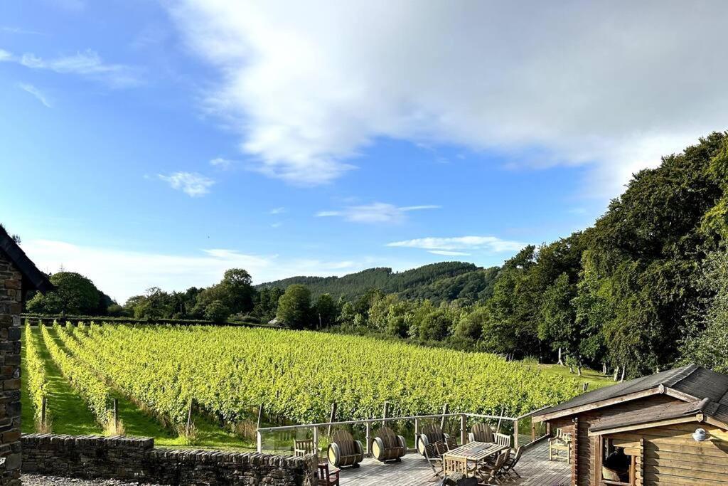 Vineyard Country Cottage Llanerch-Aeron المظهر الخارجي الصورة