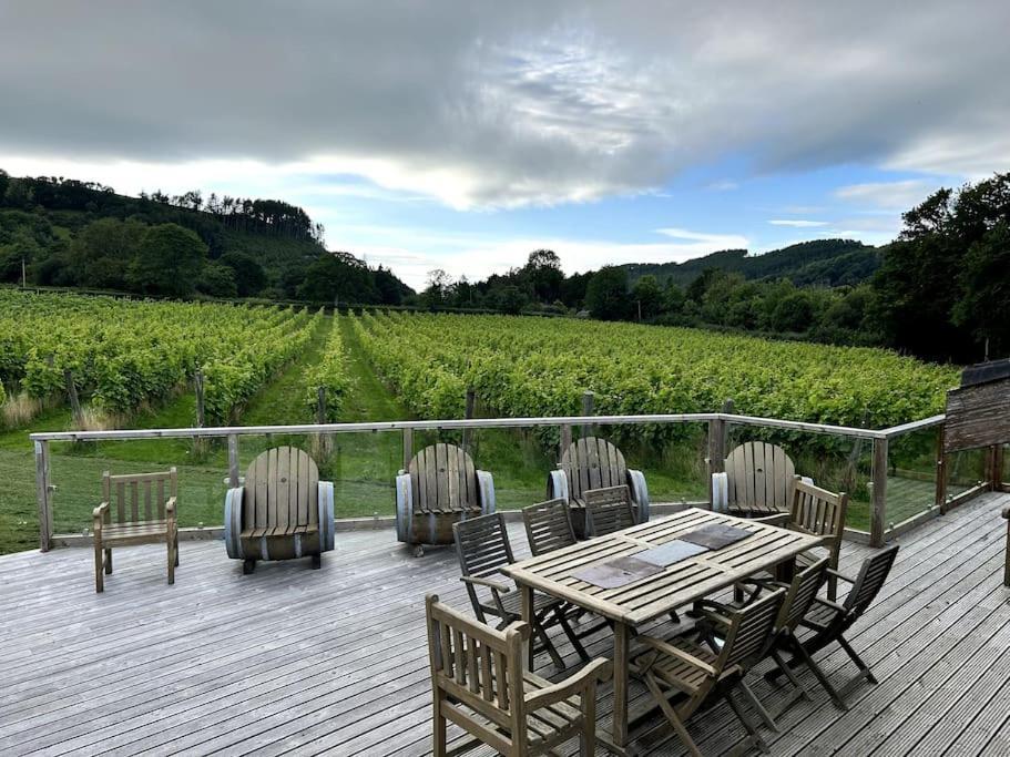Vineyard Country Cottage Llanerch-Aeron المظهر الخارجي الصورة